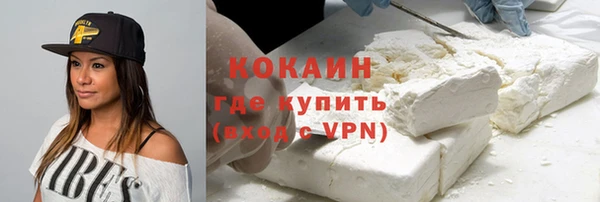 ALPHA PVP Няндома