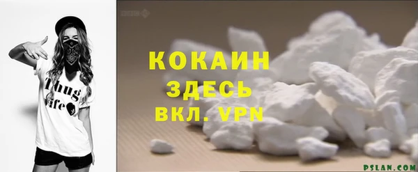 ALPHA PVP Няндома