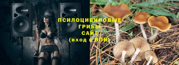стаф Нягань