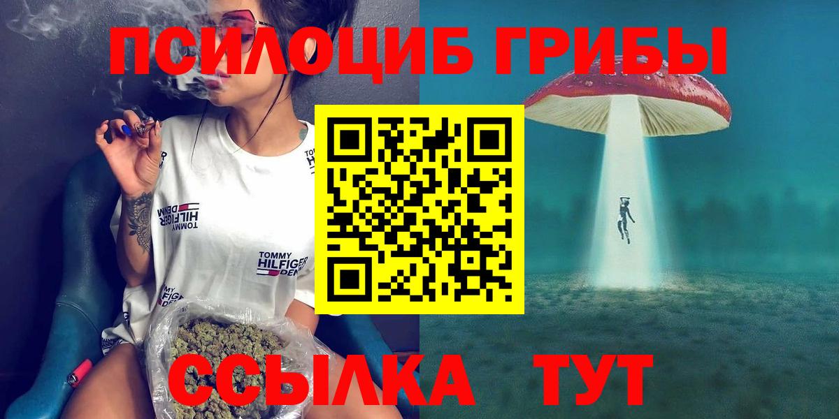 Галлюциногенные грибы мицелий  Гуково  Псилоцибиновые грибы GOLDEN TEACHER 