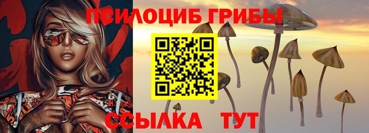 Псилоцибиновые грибы MAGIC MUSHROOMS Гуково